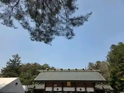 櫻木神社(千葉県)