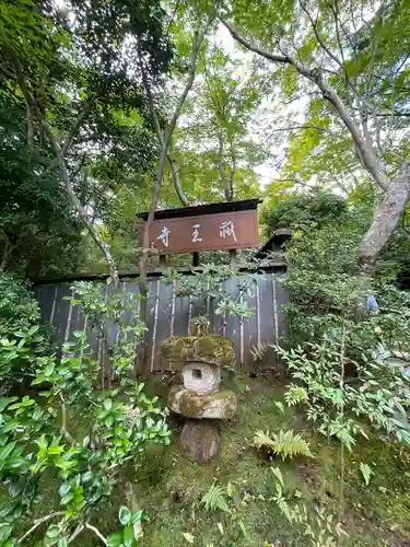 祇王寺(京都府)