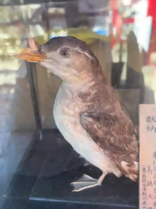 善知鳥神社(青森県)