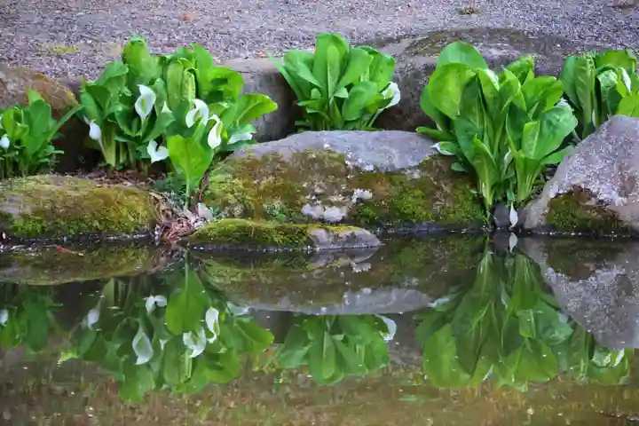 真照寺(福島県)