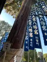 大宮八幡宮の自然