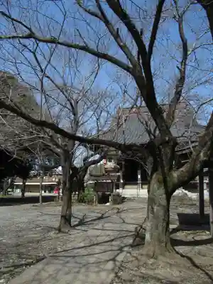 大栄寺のその他建物