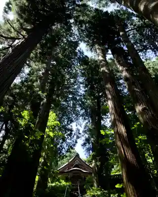 戸隠神社宝光社(長野県)