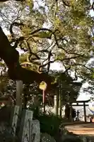 天満神社(愛媛県)