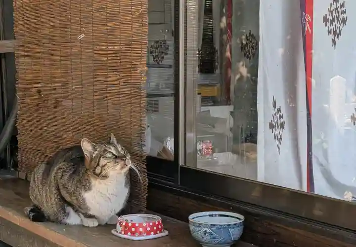 阿邪訶根神社の{uncategorized: "未分類", other: "その他", undefined: "問題あり", building: "その他建物", grave: "お墓", sacred_gate: "鳥居", guardian: "狛犬", statue: "像", buddha: "仏像", history: "歴史", nature: "自然", garden: "庭園", animal: "動物", pagoda: "塔", temizu: "手水舎", mountain_gate: "山門・神門", sanctuary: "本殿・本堂", subordinate: "末社・摂社", art: "芸術", scenery: "景色", jizo: "地蔵", ema: "絵馬", goshuin: "御朱印", omikuji: "おみくじ", items: "授与品その他", amulet: "お守り", goshuincho: "御朱印帳", eats: "食事", festival: "お祭り", votive_dance: "神楽", shichigosan: "七五三参", wedding: "結婚式", experience: "体験その他", initially: "初詣", around: "周辺", anti_infection: "感染症対策"}