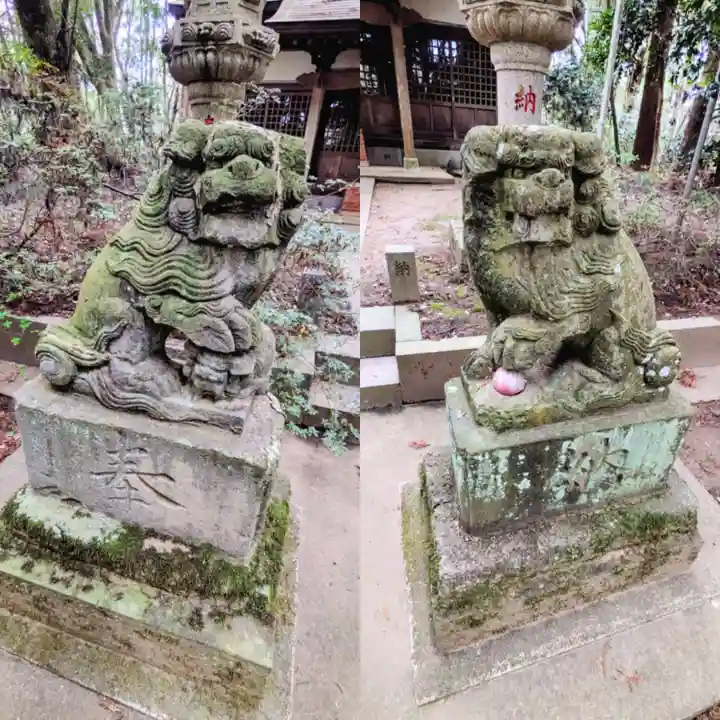 桑橋熊野神社の狛犬