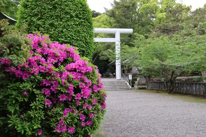 安房神社(千葉県)