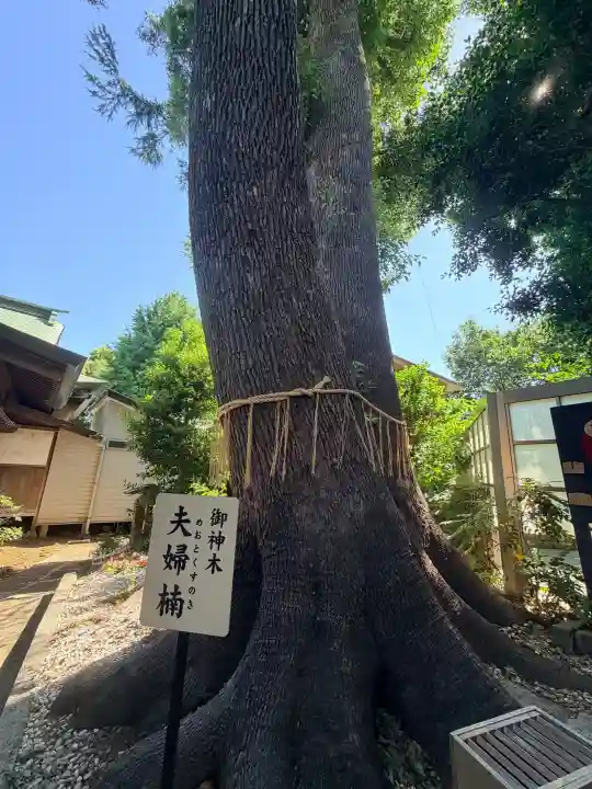 鳩ヶ谷氷川神社の{uncategorized: "未分類", other: "その他", undefined: "問題あり", building: "その他建物", grave: "お墓", sacred_gate: "鳥居", guardian: "狛犬", statue: "像", buddha: "仏像", history: "歴史", nature: "自然", garden: "庭園", animal: "動物", pagoda: "塔", temizu: "手水舎", mountain_gate: "山門・神門", sanctuary: "本殿・本堂", subordinate: "末社・摂社", art: "芸術", scenery: "景色", jizo: "地蔵", ema: "絵馬", goshuin: "御朱印", omikuji: "おみくじ", items: "授与品その他", amulet: "お守り", goshuincho: "御朱印帳", eats: "食事", festival: "お祭り", votive_dance: "神楽", shichigosan: "七五三参", wedding: "結婚式", experience: "体験その他", initially: "初詣", around: "周辺", anti_infection: "感染症対策"}