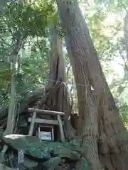 事任八幡宮の建物その他