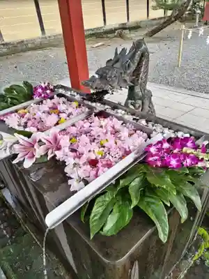 美濃國一宮　南宮大社(岐阜県)