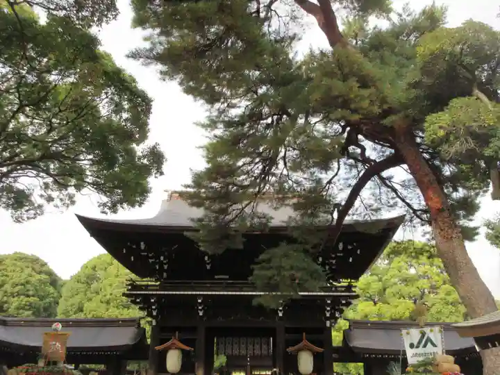 明治神宮(東京都)