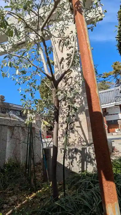 水堂須佐男神社(兵庫県)