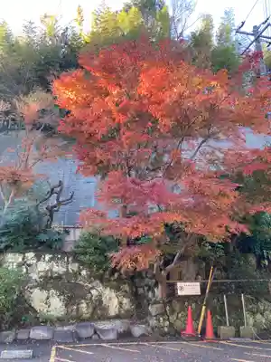 報国寺(神奈川県)