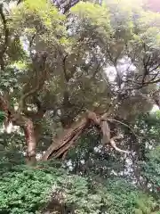 皇産霊神社(茨城県)