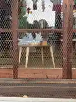 小泉神社(群馬県)