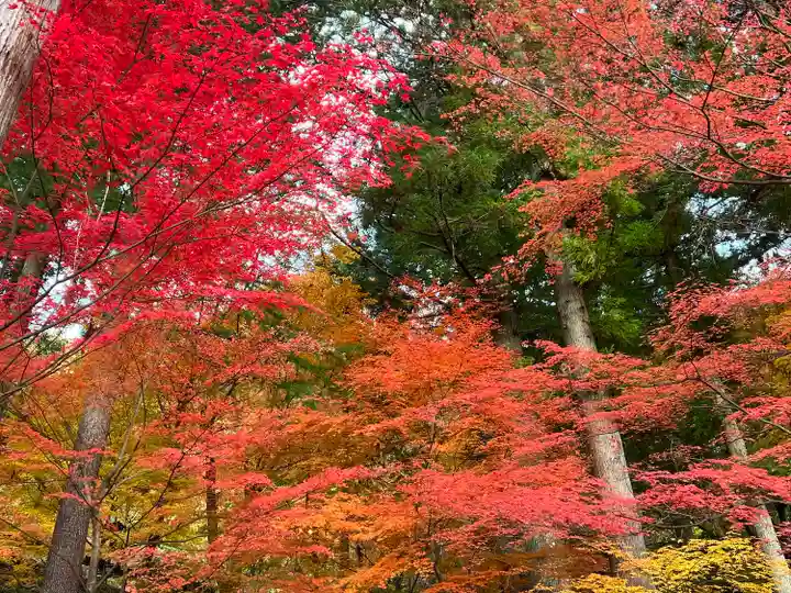 温泉寺(岐阜県)