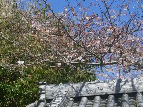 浄光明寺の自然