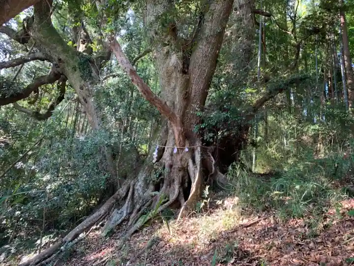 御霊神社の自然
