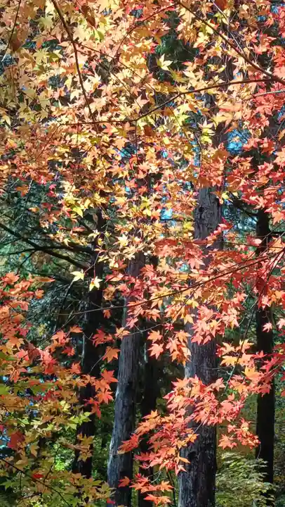 石道寺(滋賀県)