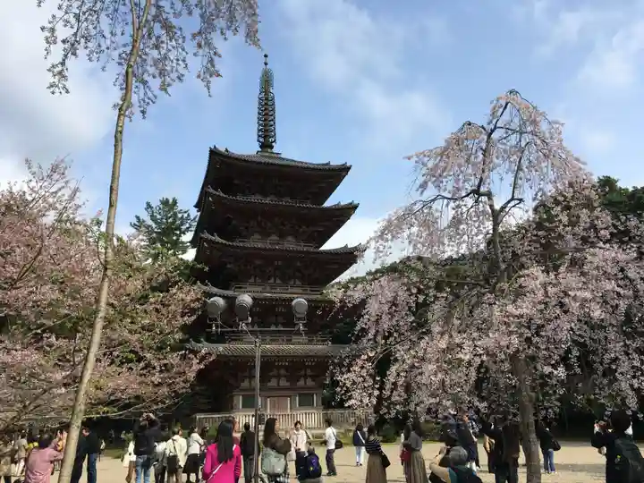 醍醐寺の塔