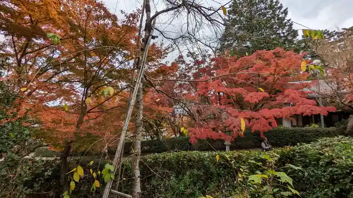 真正極楽寺(真如堂)(京都府)