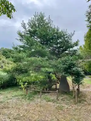 白龍弁財天社(雷電神社末社)(群馬県)
