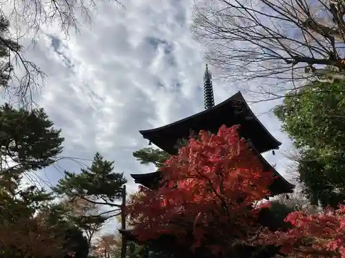 豪徳寺のその他建物