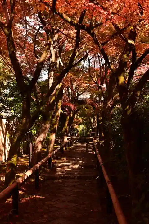 光悦寺(京都府)