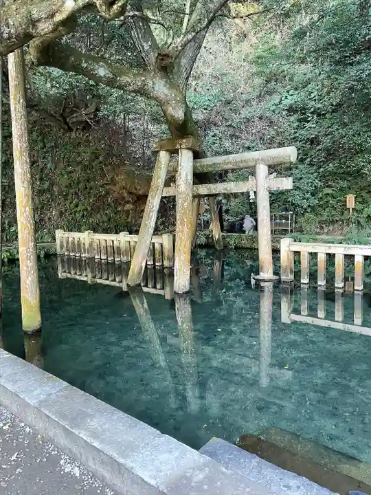 鹿島神宮(茨城県)