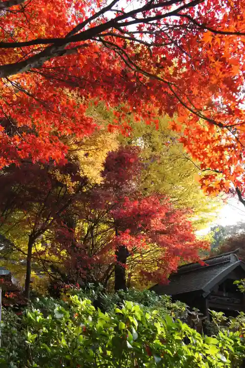 本土寺(千葉県)