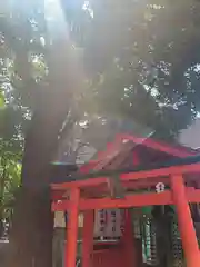 安倍晴明神社(大阪府)