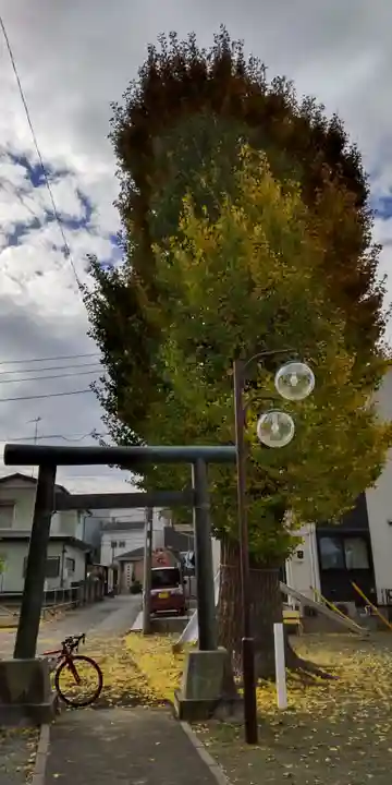 御嶽神社(神奈川県)