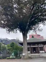 總持寺(東京都)