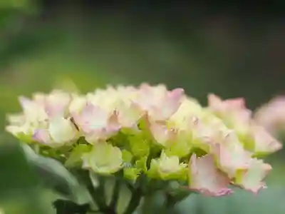 天王山 安楽寺(福井県)