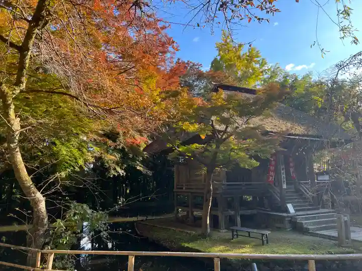 中尊寺(岩手県)