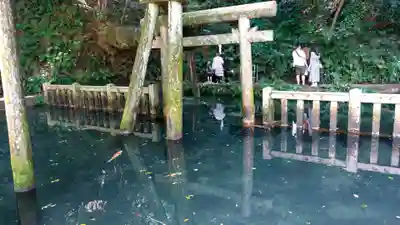 奥宮(鹿島神宮摂社)の鳥居