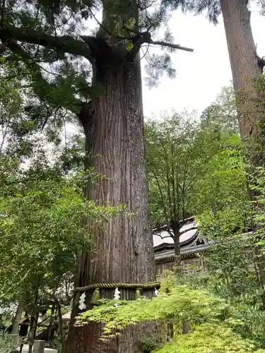 丹生川上神社（中社）(奈良県)
