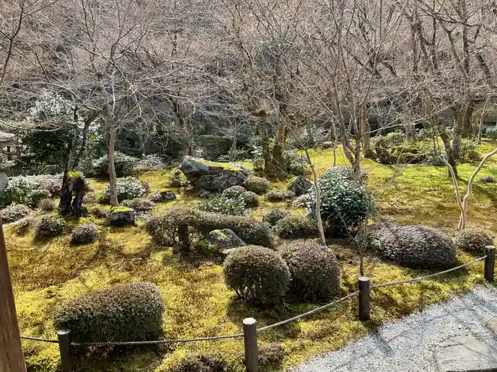圓光寺(京都府)