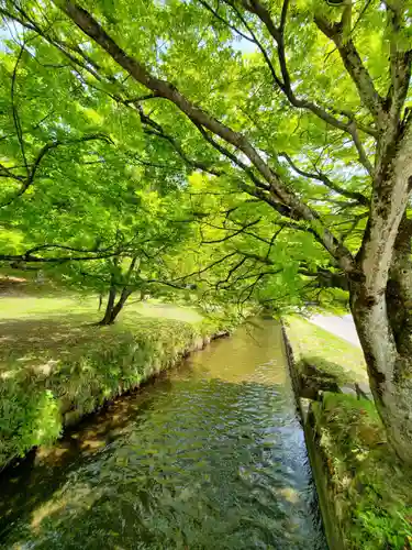 土津神社｜こどもと出世の神さまの景色