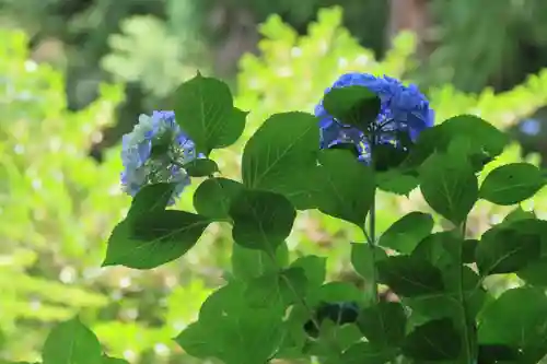 八幡神社の庭園