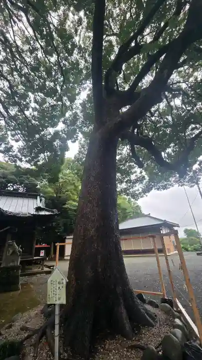 五社神社(神奈川県)