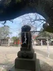 山王宮　日吉神社の狛犬