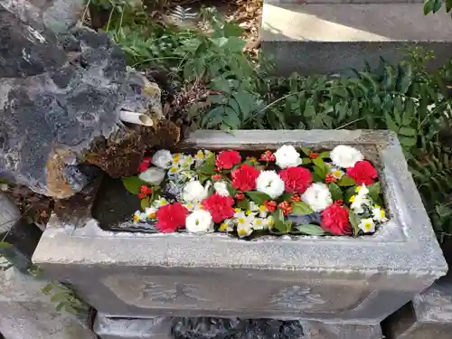 本郷氷川神社の手水