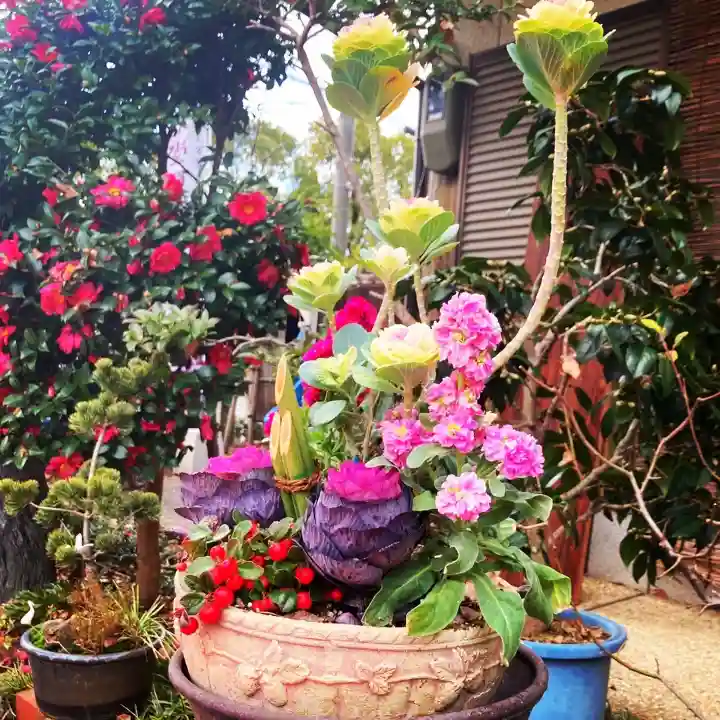 水堂須佐男神社の自然