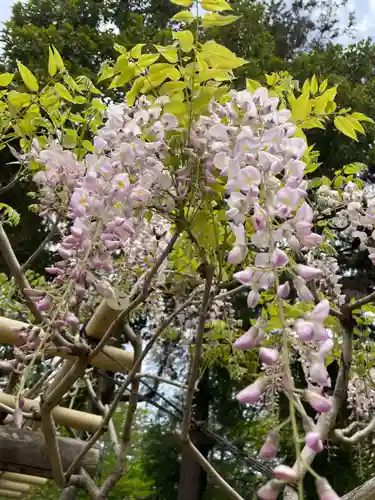 歌泉堂（春日大社神苑萬葉植物園内鎮座）(奈良県)