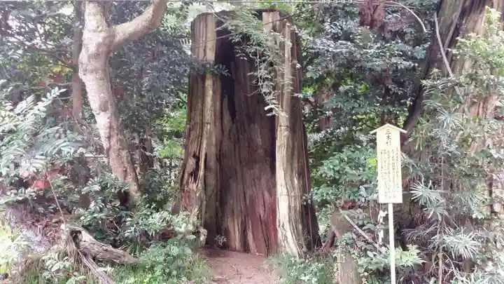 香取神宮の自然