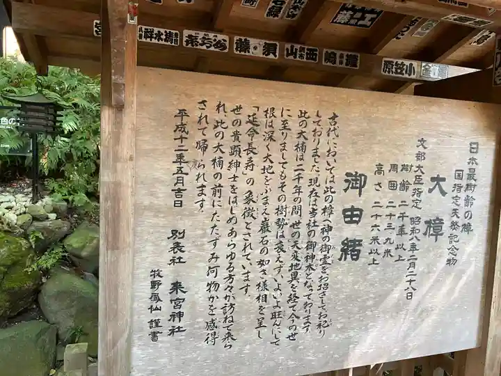 來宮神社(静岡県)