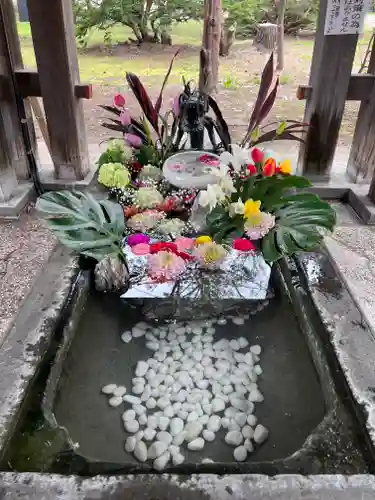 札幌護國神社の手水