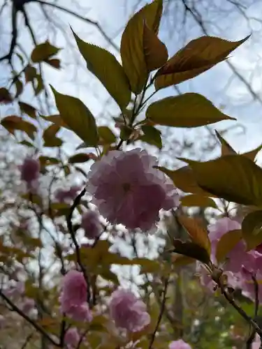 大宮温泉神社(栃木県)
