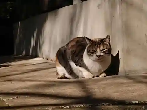 八剱神社の動物